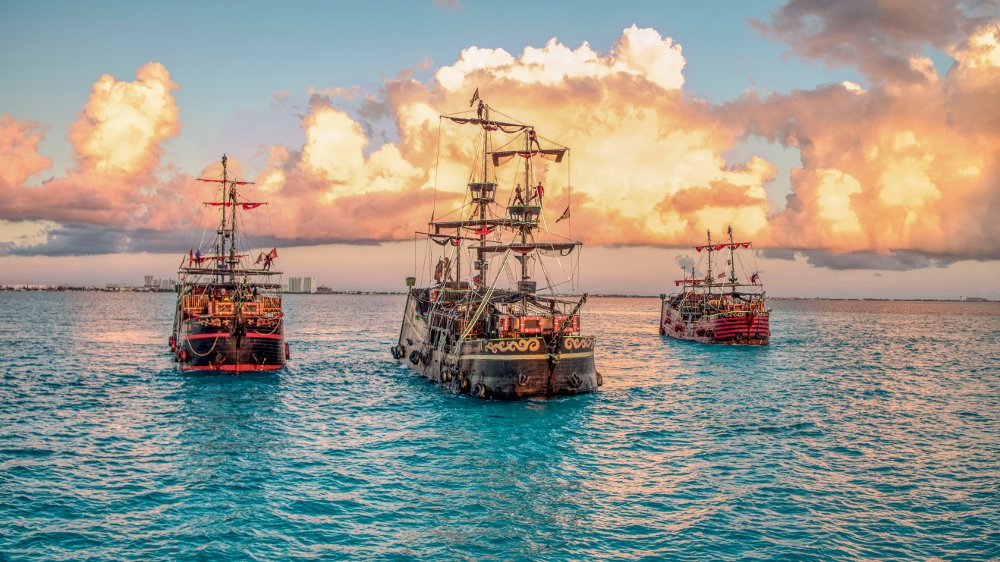 Capitan Grilled Chiken Adults - Imagen 5
