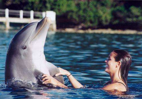 Dolphin Swim Adventure Tour - Imagen 3