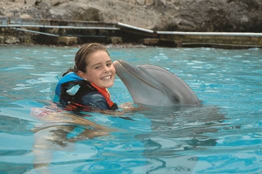 Dolphin Swim Adventure Kids