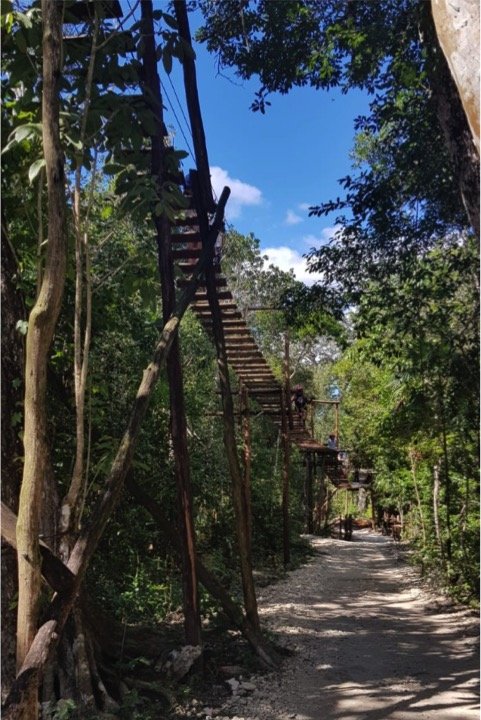 Horseback Riding - ZipLines & Cenote Tour - Imagen 4