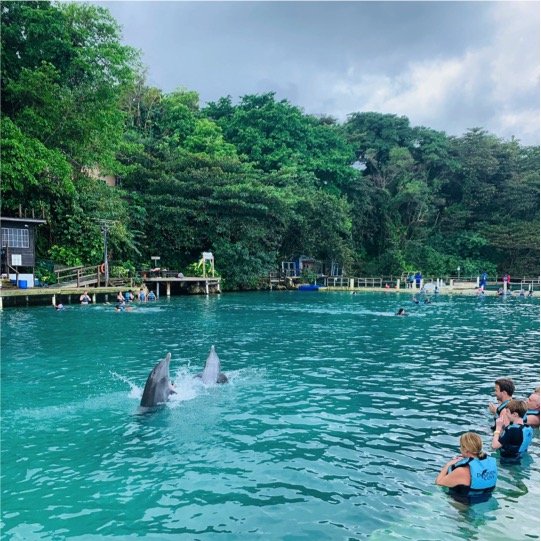 Dolphin Swim Adventure Kids - Imagen 7