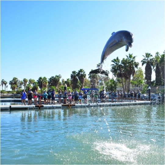 Dolphin Swim Encounter Tour - Imagen 6