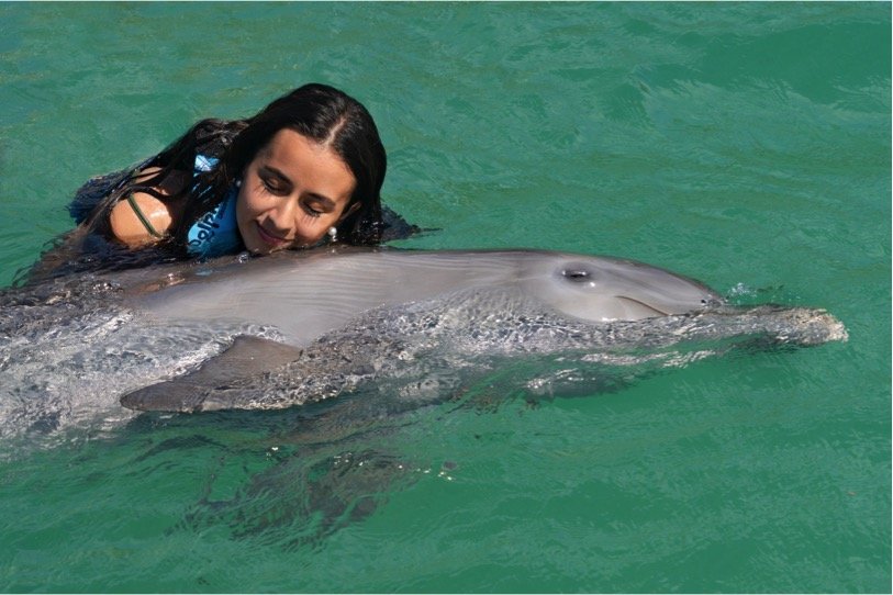 Dolphin Swim Adventure Tour - Imagen 5