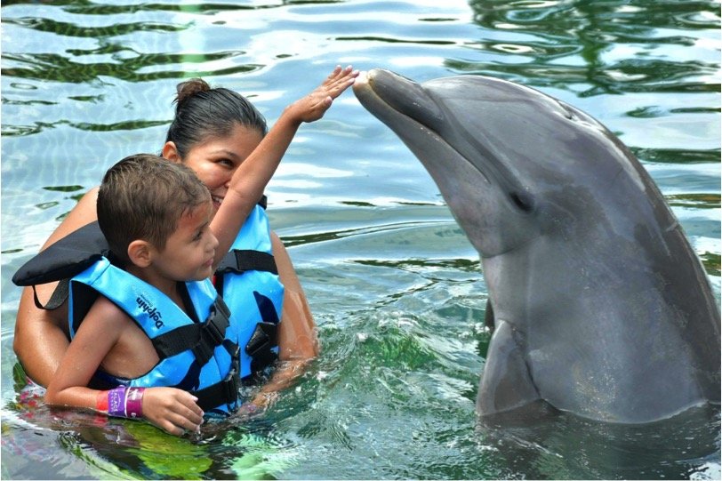 Dolphin Swim Adventure Kids - Imagen 2