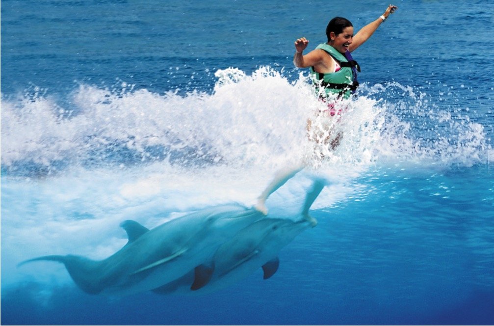 Dolphin Royal Swim Tour - Imagen 7