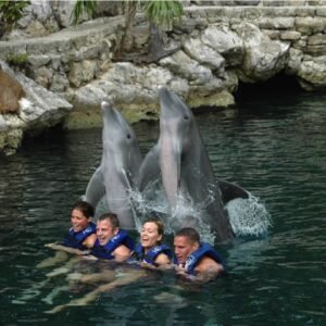 Dolphin Swim Adventure Tour