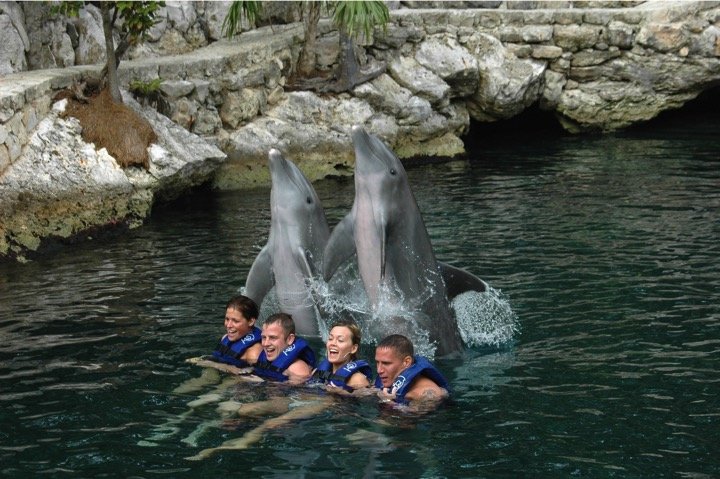 Dolphin Swim Adventure Tour