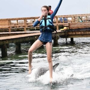 Dolphin Royal Swim Tour