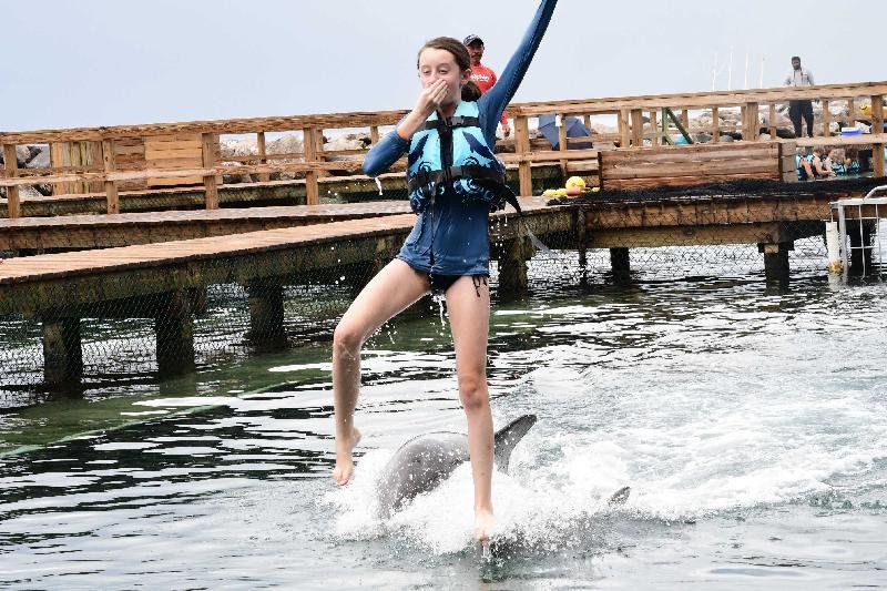 Dolphin Royal Swim Tour