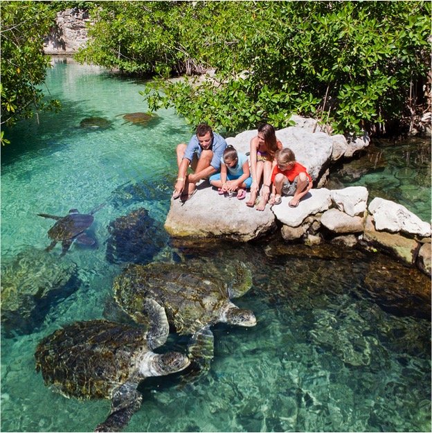 Xcaret Admission Ticket Full Day (with Transportation) - Imagen 2
