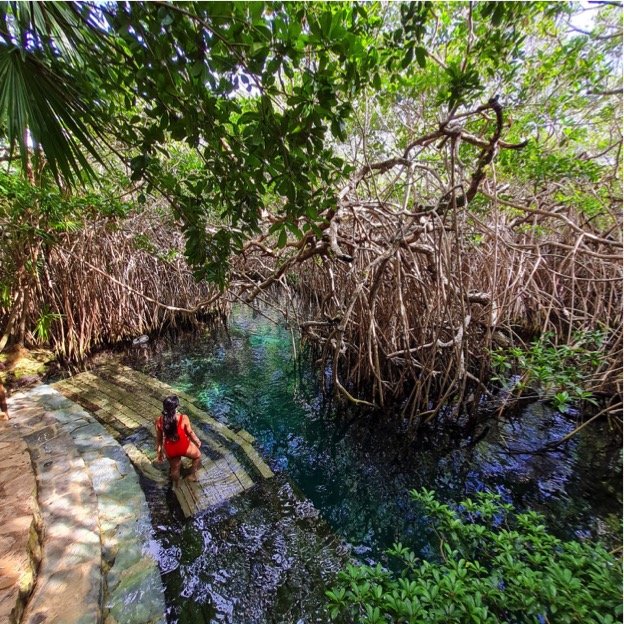 Xel-Há Natural water Park All Inclusive And Transfer Options - Imagen 5