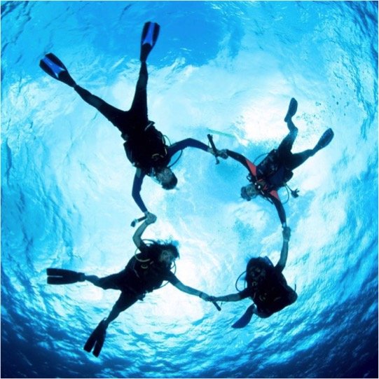 Certified Diving Cozumel Tour - Imagen 6