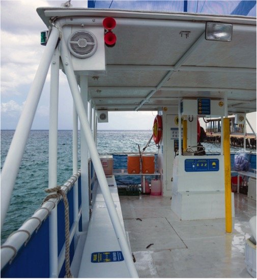 Cielo Cozumel By Catamaran & Beach Club Tour - Imagen 5