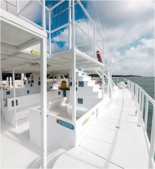 Cielo Cozumel By Catamaran & Beach Club Tour - Imagen 3