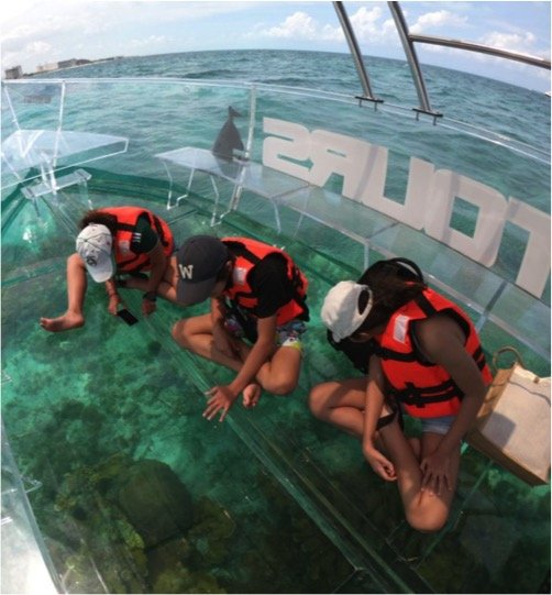 Cozumel Clear Boat Tour - Imagen 7
