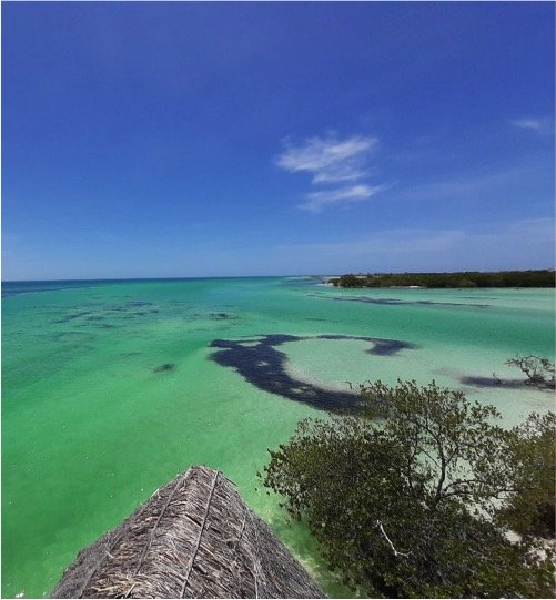 HOLBOX Ferry Punta Mosquito Tour - Imagen 5