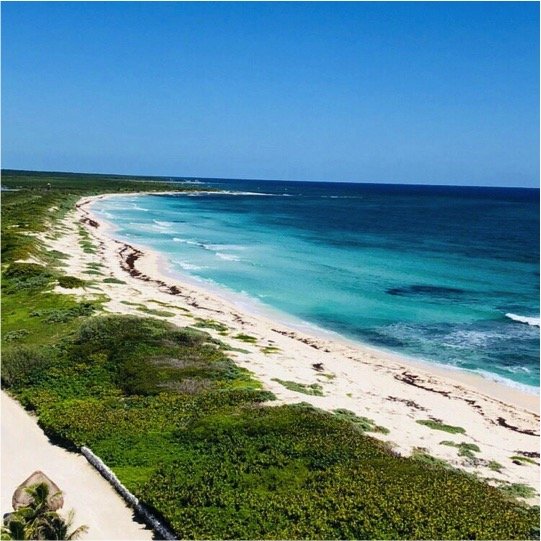 Jeep & Snorkeling In Cozumel Tour - Imagen 8
