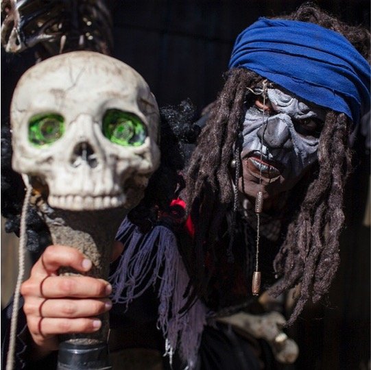 Jolly Roger Pirate Boat Deluxe Show & Dinner - Imagen 5
